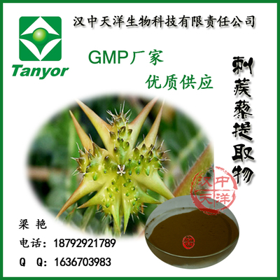 【刺蒺藜提取物,刺蒺藜皂甙90%,GMP廠家供應(yīng)】_